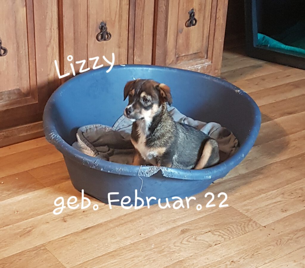 Lizzy