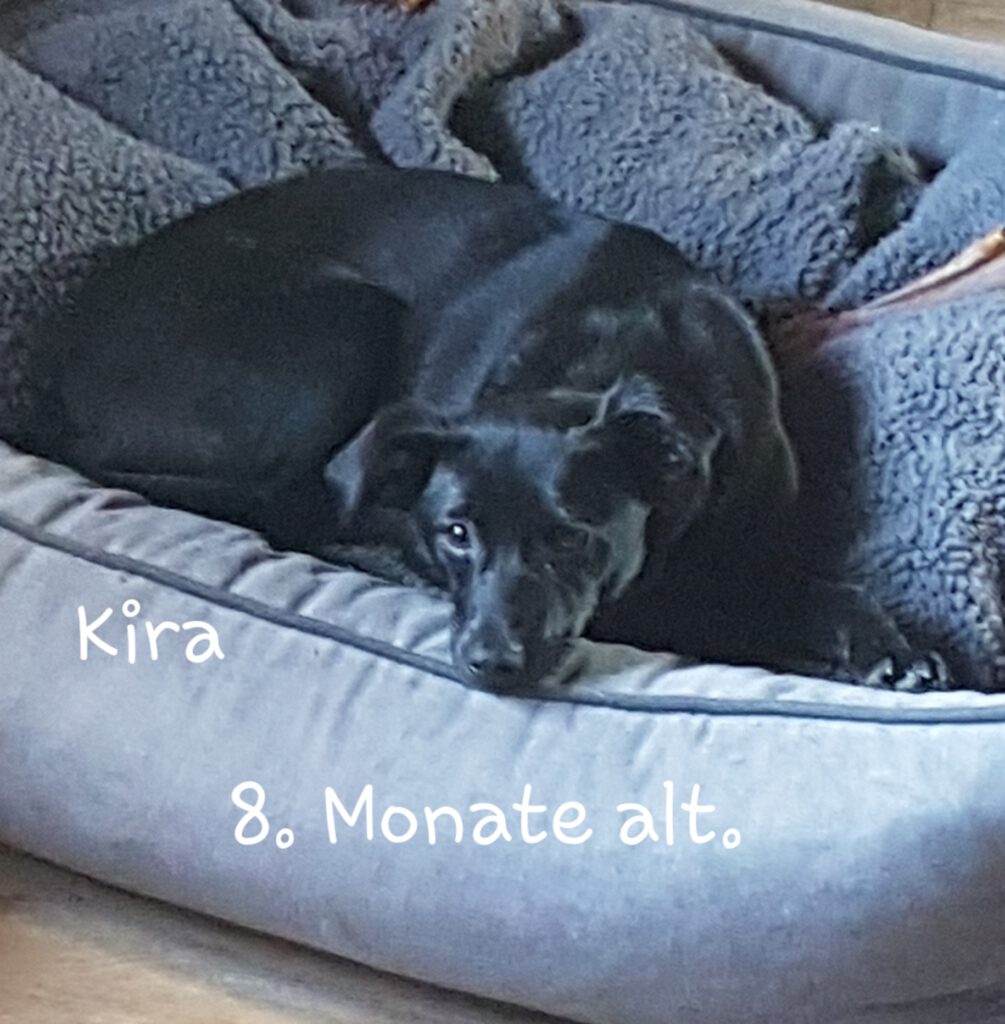 Kira